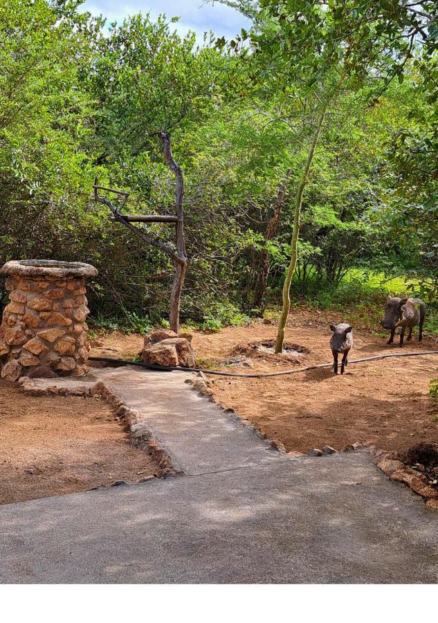 Lion King Vila Marloth Park Exterior foto
